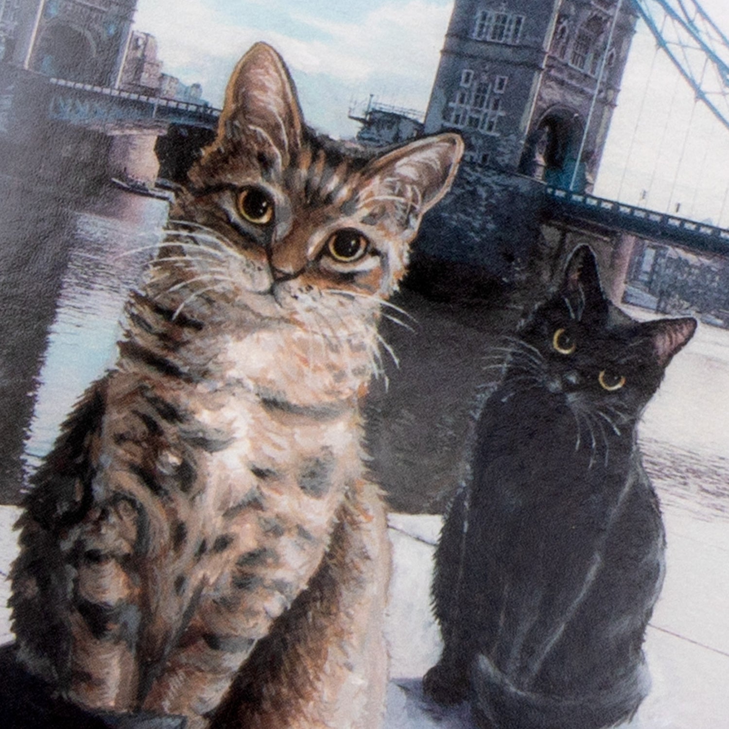 Celia Pike Cat-Inspired Gifts