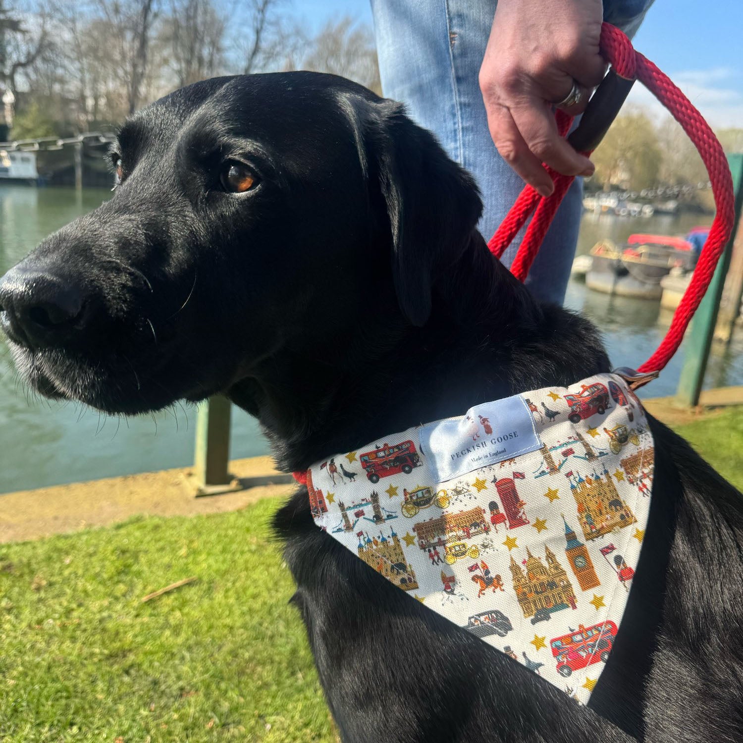 Peckish Goose London Dog Bandana 3