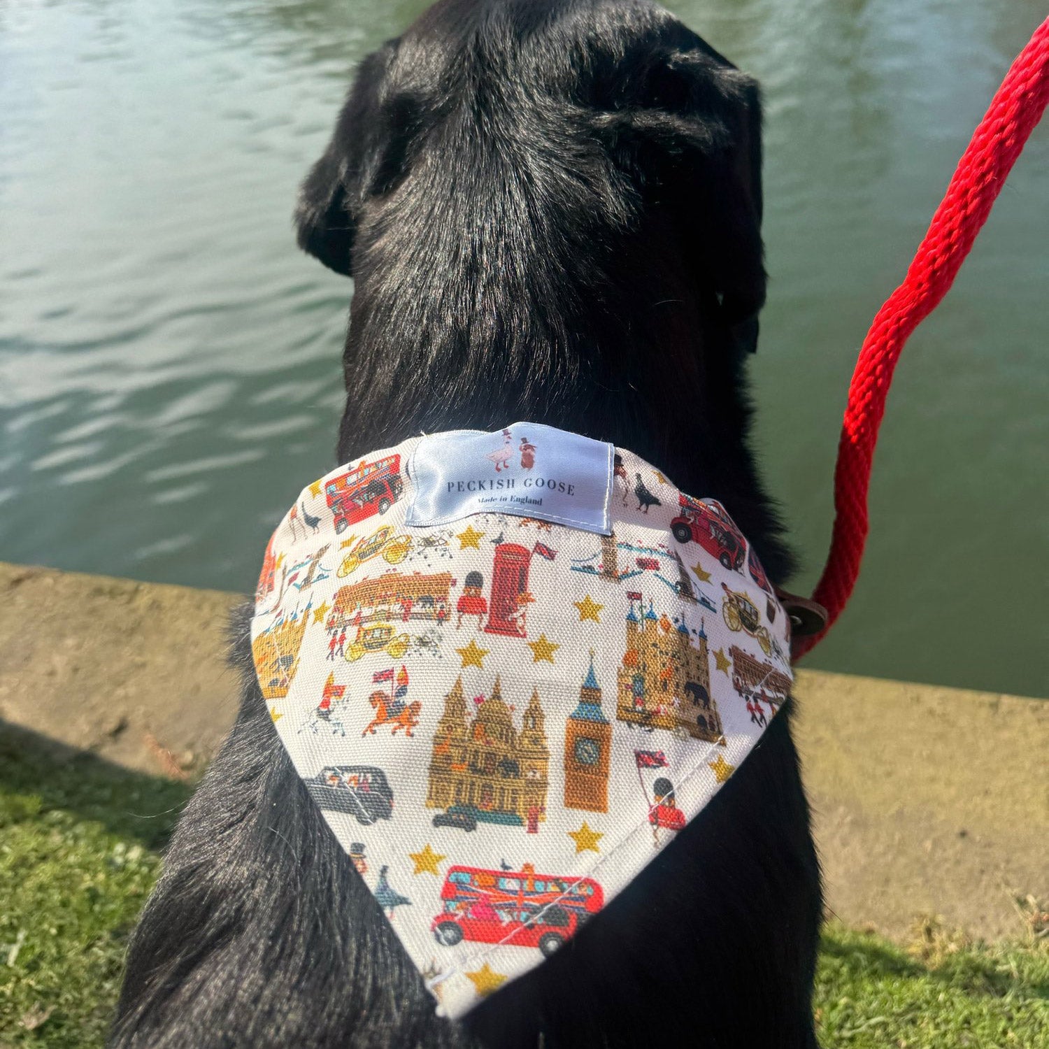 Peckish Goose London Dog Bandana 4