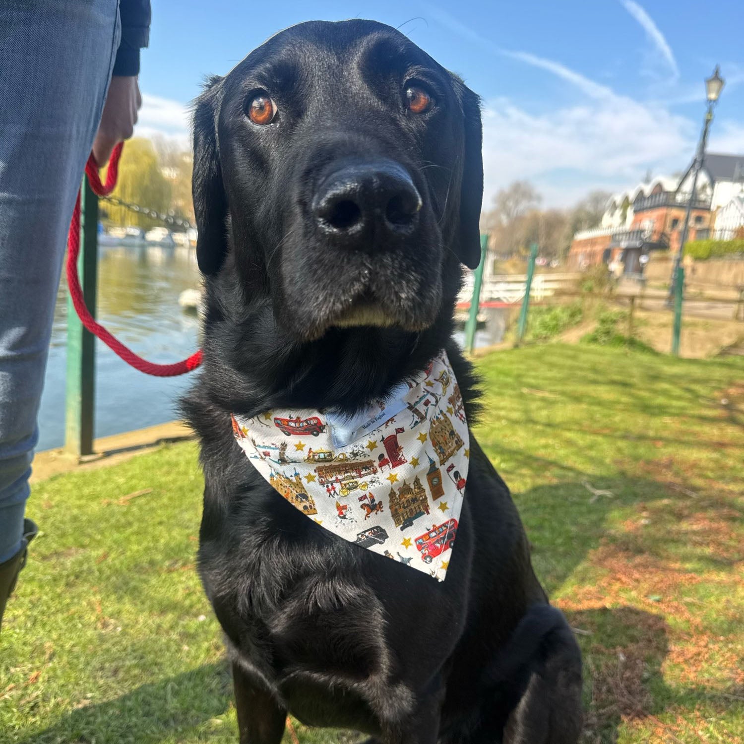 Peckish Goose London Dog Bandana 5