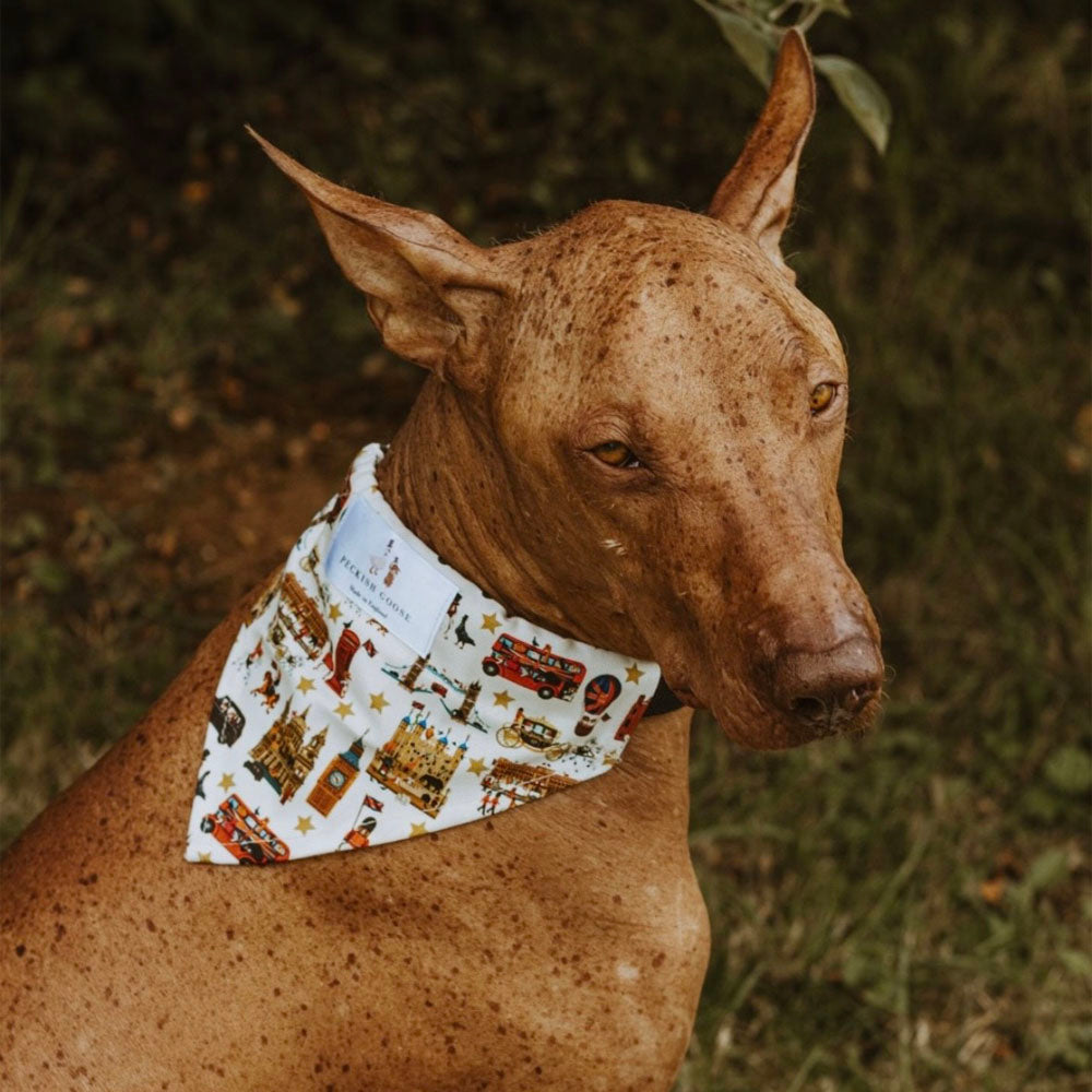 Peckish Goose London Dog Bandana 6