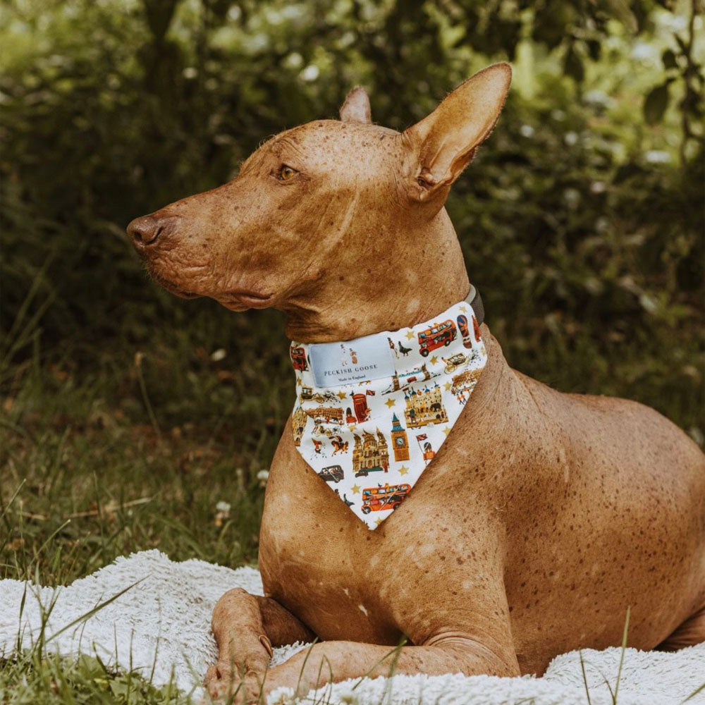 Peckish Goose London Dog Bandana 7